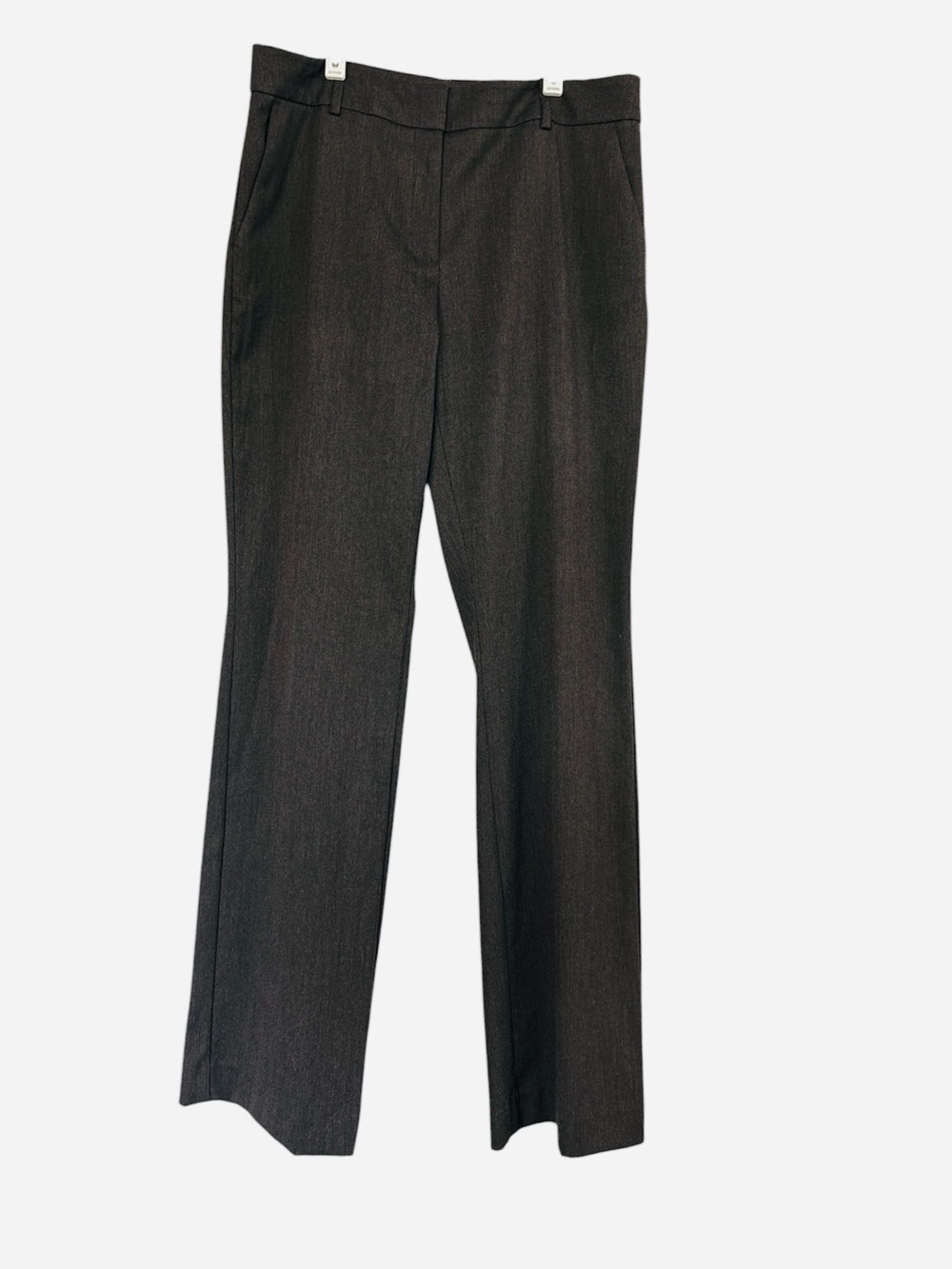 Ann Taylor Women’s Curvy Pants